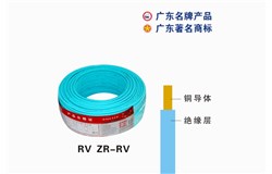 RV ZR-RV珠江電纜